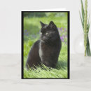 Buscar gato afortunado tarjetas Lindo