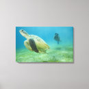 Buscar tortugas lienzos Azul