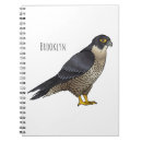 Buscar halcón libretas Pájaro
