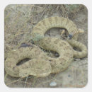 Buscar víboras postales General y unisex