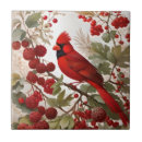 Buscar bird azulejos Escarlata