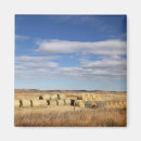 Buscar bala imanes Campo