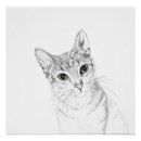 Buscar gato del refugio posters Felino