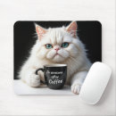 Buscar gato persa blanco electronica 9 º gata