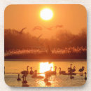 Buscar cisnes posavasos Romántico