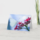 Buscar por amistad tarjetas de agradecimiento Mariposa