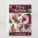 Buscar salsa tarjetas Para todos