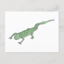 Buscar newt postales Nebuloso