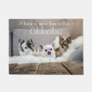 Buscar chihuahuas felpudos Adorable
