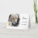 Buscar enfermedad tarjetas Lo siento