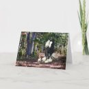 Buscar vanguardista tarjetas 6 º caballito