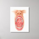 Buscar boca humana lienzos Anatomía