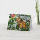 Buscar mariposas de monarca tarjetas Flores