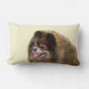 Buscar perro de pomerania cojines Para todos