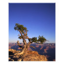 Buscar geológico posters Desierto