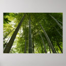 Buscar arboleda de bambú posters Japón