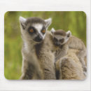 Buscar lemur alfombrillas de raton Primate