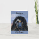 Buscar herido tarjetas Hound afghan