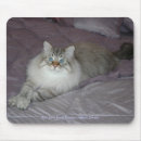 Buscar siberian alfombrillas de raton Gato siberiano