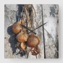 Buscar cebolla relojes de pared Verduras