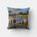 Buscar elefante africano cojines Imagen de color