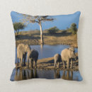 Buscar elefante africano cojines Imagen de color