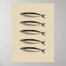 Buscar sardina posters Pescar
