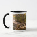 Buscar camino tazas Vermont