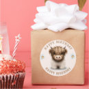 Buscar vaca escocesa pegatinas Para los agricultores