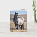 Buscar zeus tarjetas Caballo