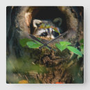 Buscar autumn relojes de pared Woodland