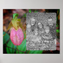 Buscar flor de orquídea posters Para ella