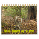 Buscar acción calendarios Animales