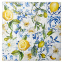 Buscar acuarelas azulejos General y unisex