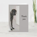Buscar great dane tarjetas Divertido