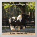 Buscar caballo gitano posters Caballos