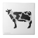 Buscar vaca blanco y negro azulejos Vacas