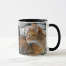 Buscar rubicundo Gatito