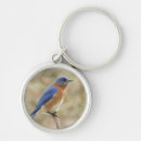 Buscar bluebird llaveros Bluebird del este