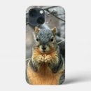 Buscar ardilla iphone fundas Naturaleza