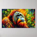 Buscar orangután posters Apogmaeus