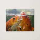 Buscar carpa puzzles Natación