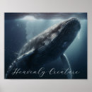 Buscar ballena jorobada posters Animal