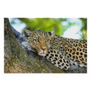 Buscar manchas arte Manchado