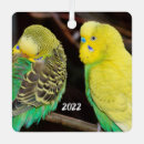 Buscar amante del loro adornos Pájaro