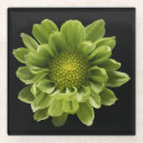 Buscar nature cristaleria bar Petal