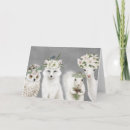 Buscar búho blanco tarjetas Bosque