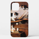 Buscar mam fundas Gatos