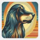 Buscar perro de afgano Azul