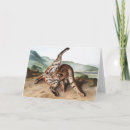 Buscar texano tarjetas Vintage